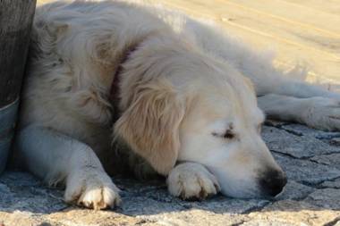 Maison d'hôtes Marimpoey