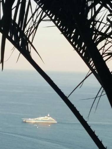 Les Citronniers d'Azur