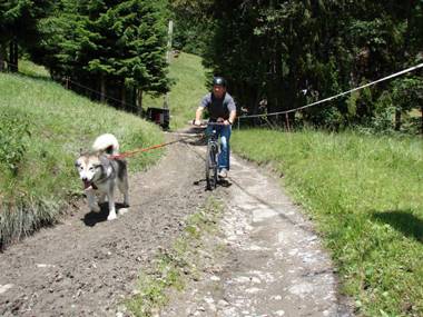 Résidence Le Relax - Megève Centre