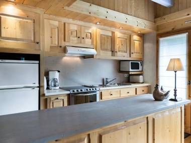 Studio Megève 1 pièce 4 personnes - FR-1-453-44