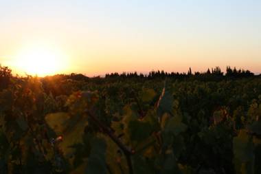 Le Mas de Plein Pagnier