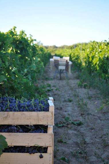 Le Mas de Plein Pagnier
