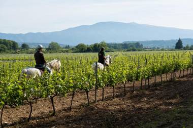 Château La Croix Des Pins