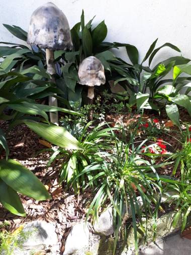 Le Ryad Boutique Hôtel