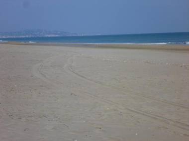 Appartement Marseillan-Plage 2 pièces 4 personnes - FR-1-387-145