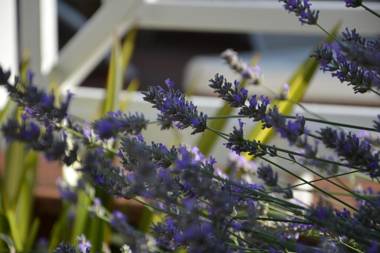 Hôtel Les Comtes de Pardiac