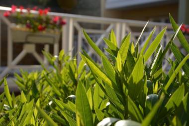 Hôtel Les Comtes de Pardiac