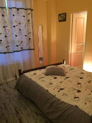 Le Chant Des Oiseaux