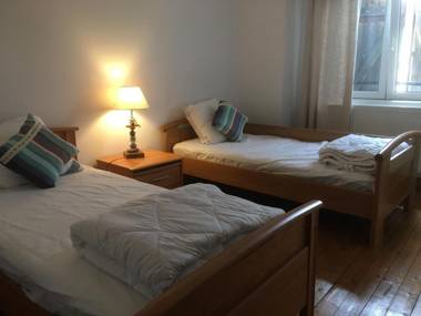 Gîte Lunéville 4 pièces 5 personnes - FR-1-584-106