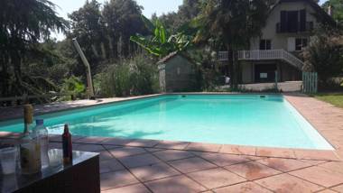 B&B En plein coeur de la foret
