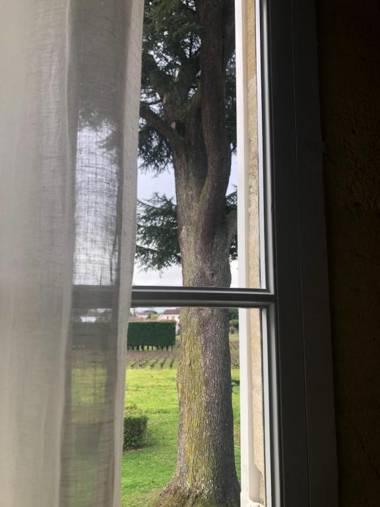 Château Bonalgue - Pomerol