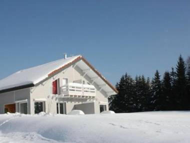 Chalet Le Tholy 4 pièces 6 personnes - FR-1-589-217