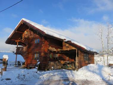 Chalet Le Tholy 3 pièces 5 personnes - FR-1-589-241