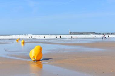 Oasis Les Jardins des Sables d'Olonne