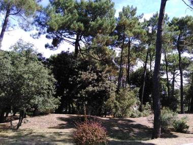 Small house between lake and sea