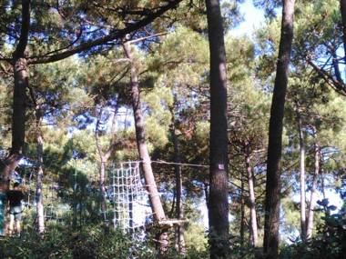 Small house between lake and sea