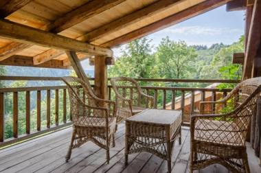 Chalet Ferme des Amis - 1066