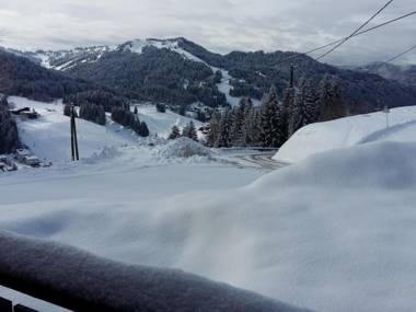 Appartement Les Gets 2 pièces 4 personnes - FR-1-454-33