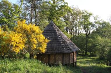 Terragora Lodges - Hébergement atypique