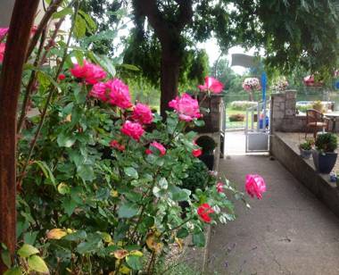 Chambres D'Hôtes La Villa Aliénor