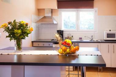 DOMAINE DE LA NAVICELLE - PINOT