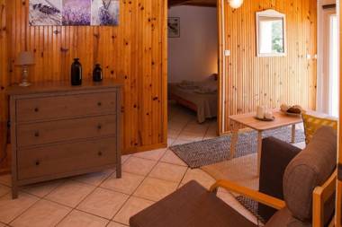 DOMAINE DE LA NAVICELLE - PINOT