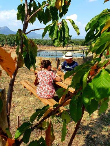 DOMAINE DE LA NAVICELLE - MERLOT