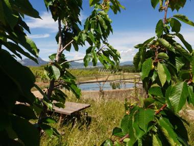DOMAINE DE LA NAVICELLE - OISEAUX 2
