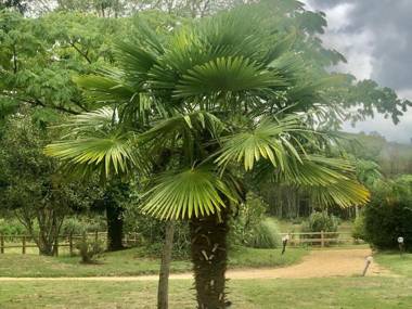 Gîte Le Lude 6 pièces 15 personnes - FR-1-410-307