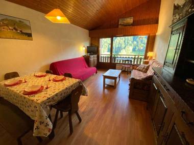 Appartement Le Grand-Bornand 2 pièces 5 personnes - FR-1-241-54