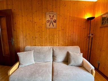 Studio Le Grand-Bornand 1 pièce 4 personnes - FR-1-241-141