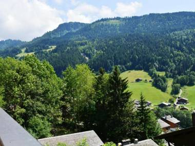 Appartement Le Grand-Bornand 3 pièces 6 personnes - FR-1-241-42