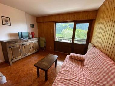 Studio Le Grand-Bornand 1 pièce 4 personnes - FR-1-241-75