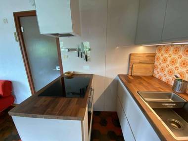 Appartement Le Grand-Bornand 2 pièces 5 personnes - FR-1-241-142