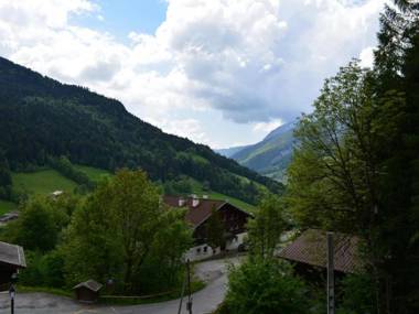 Appartement Le Grand-Bornand 2 pièces 5 personnes - FR-1-241-198