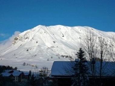 Appartement Le Grand-Bornand 1 pièce 5 personnes - FR-1-241-202