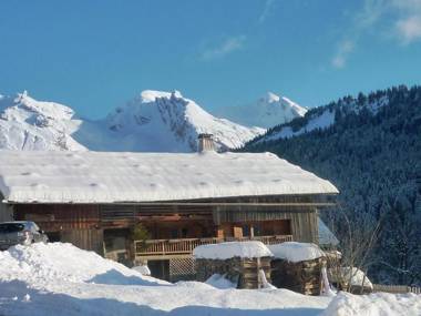 Appartement Le Grand-Bornand 2 pièces 5 personnes - FR-1-467-52