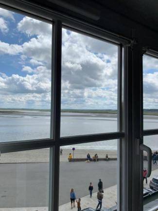 Les Mouettes Blessées