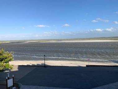 Les Mouettes Blessées