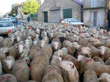Le Barry du Grand Chemin