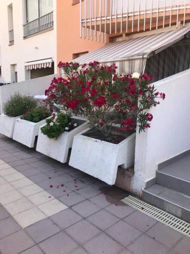 Appartement 2 pieces piscine