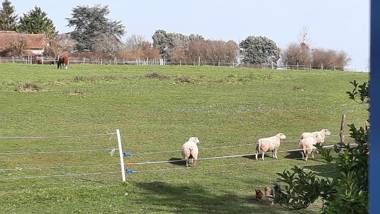 Villa du Cerf Thibault