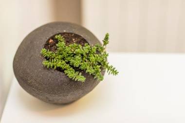 Auberge de la Cauquiere