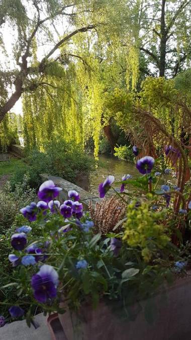 Hôtel-SPA Le Moulin De La Wantzenau - Strasbourg Nord