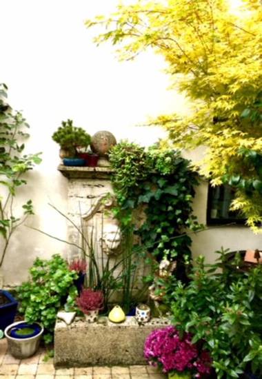 La Maison du Palmier