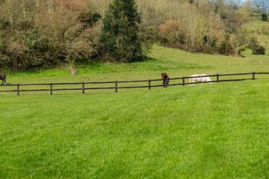 Domaine de la Pommeraye & Spa