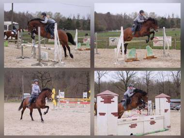 Domaine de la Gaucherie