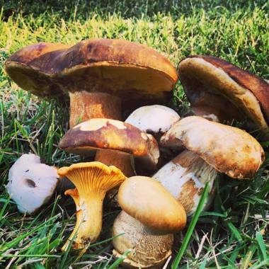 Château des Essards avec piscine et jacuzzi