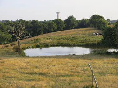La convivialité d’un gîte rural pour se retrouver entre amis
