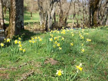 Hôtel Auberge du Combaïre